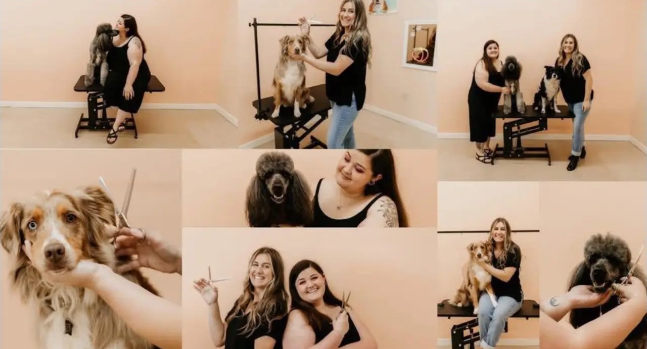 The Peachy Paws grooming team styling dogs in the salon